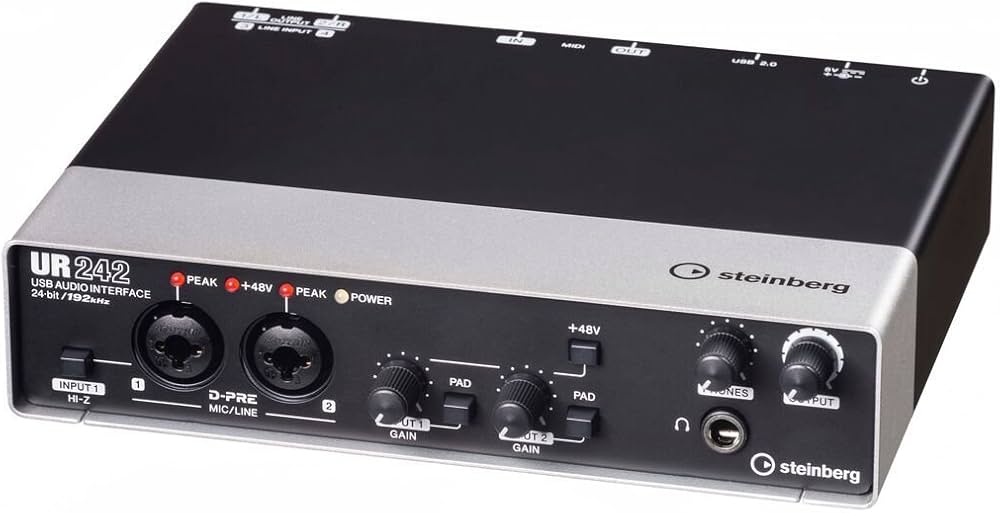 Steinberg UR242 4-Channel USB Interface : Amazon.ca: Musical