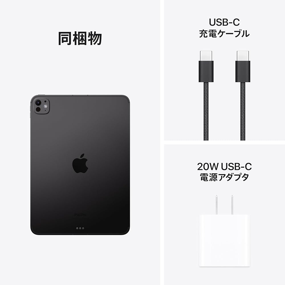 iPad Pro(M4) スペースブラック 256GB Wifiモデル Shop Aztecs - 11
