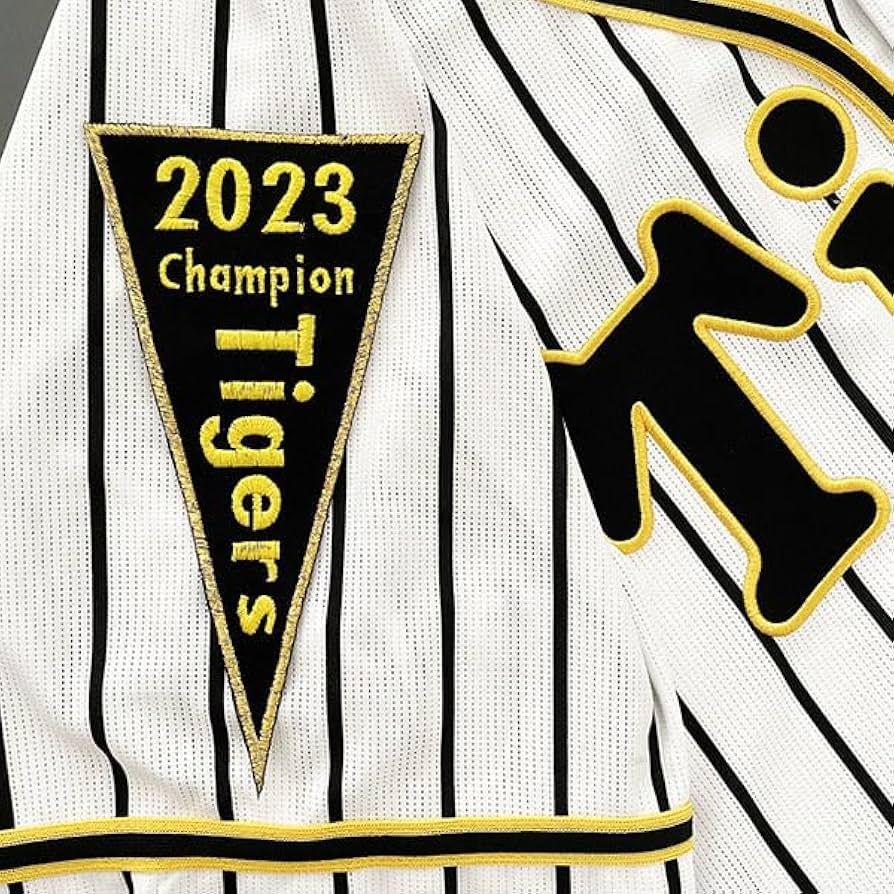 貴重 ライアン・ガンダー NEW NEW DAY 2025 刺繍ワッペン 貴重