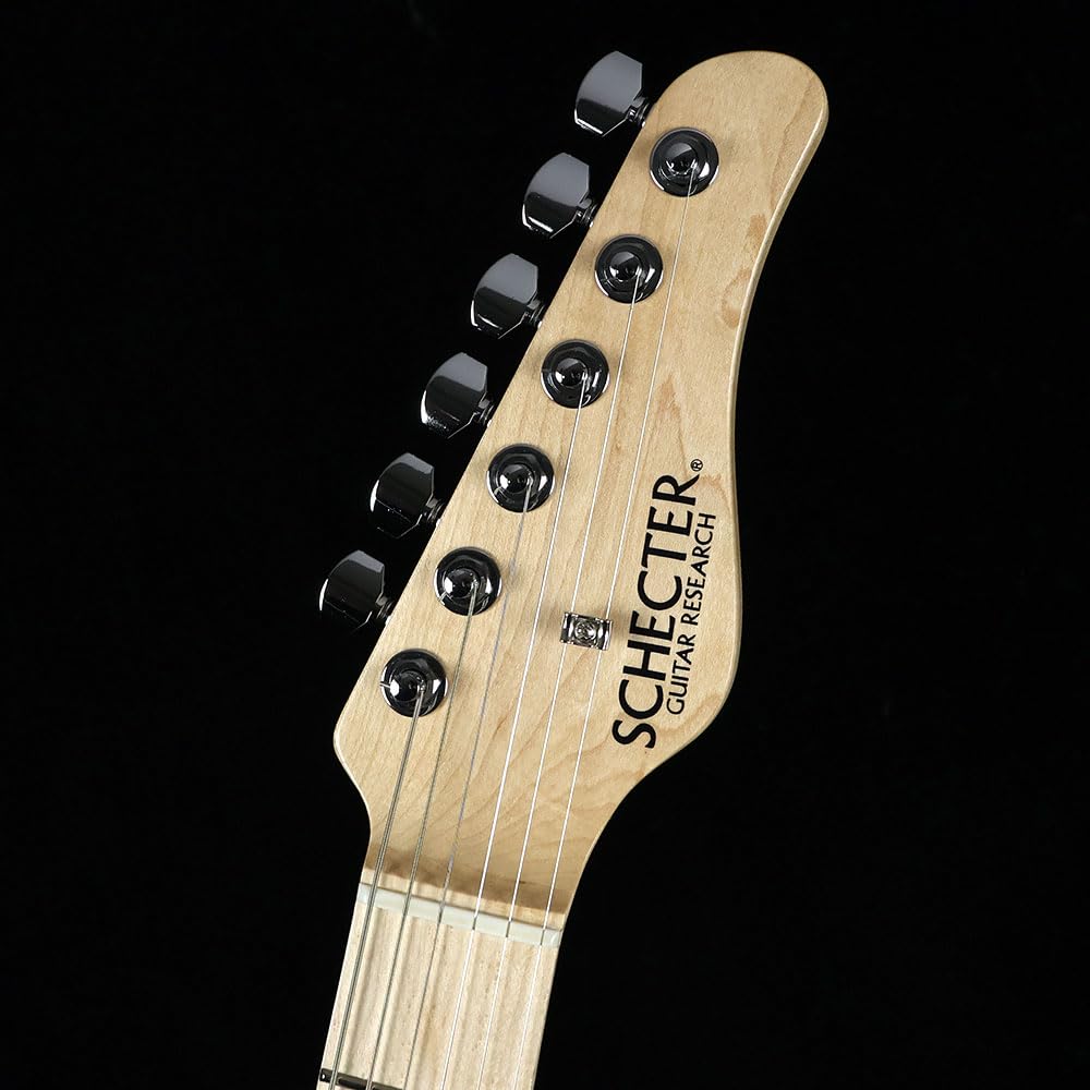 シェクター ギター 希少1本のみ シェクター ギター 希少1本のみ