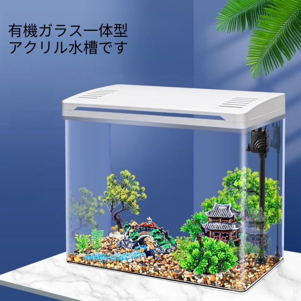 水槽 ADA AQUARIUM CUBE GARDEN 30cm Amazon | ADA CUBE GARDEN ガラス