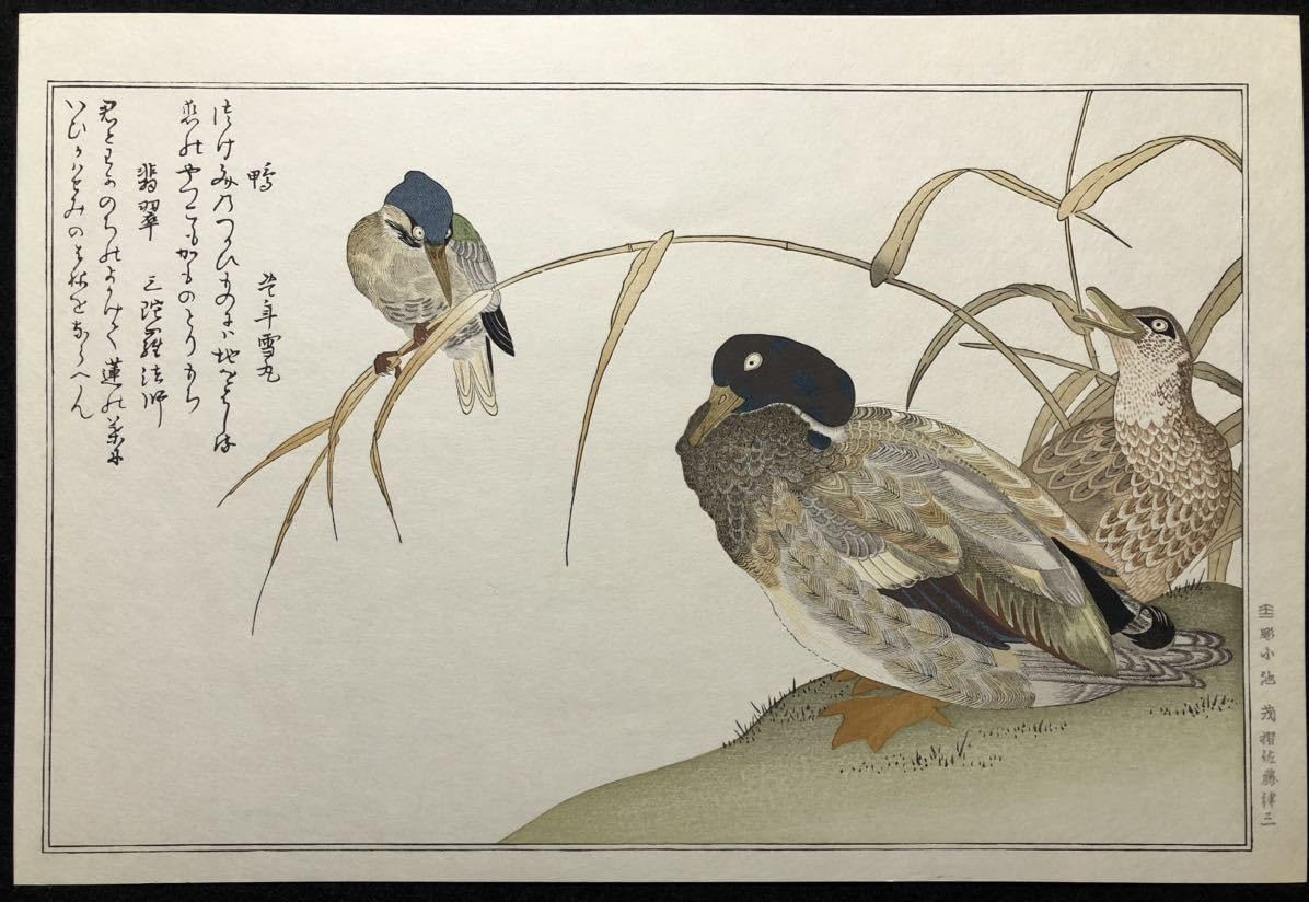 71*Z308)*絵画 日本画掛軸 たかあき 版画 彫刻 絵本 木版画 71*Z308