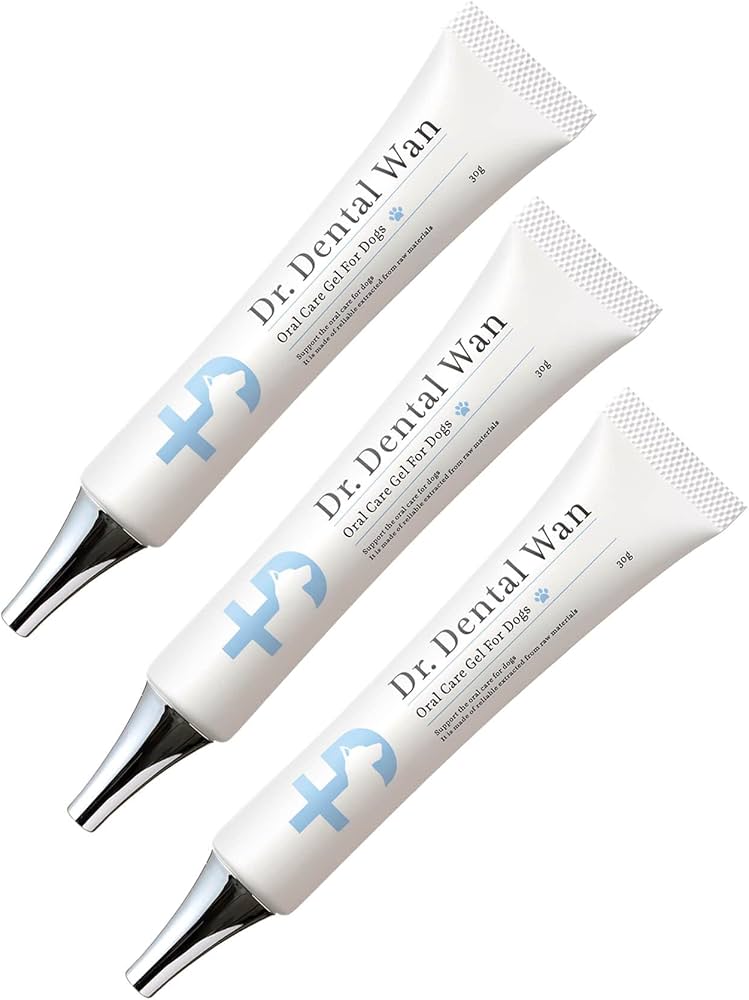 Dr. Dental Wan 歯磨き粉 4本セット + 歯ブラシ 【公式通販】