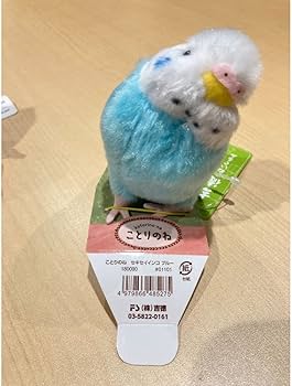 61tjf3kS01L._AC_UF350,