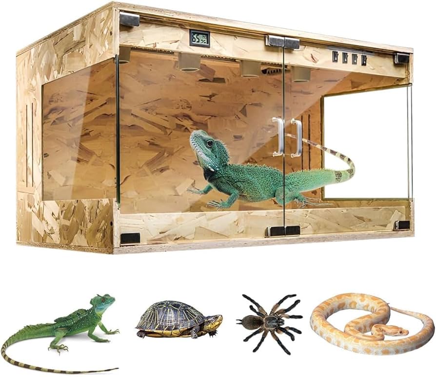 楽天市場】ヒョウモントカゲモドキ 飼育セット レオパ お一人様2点