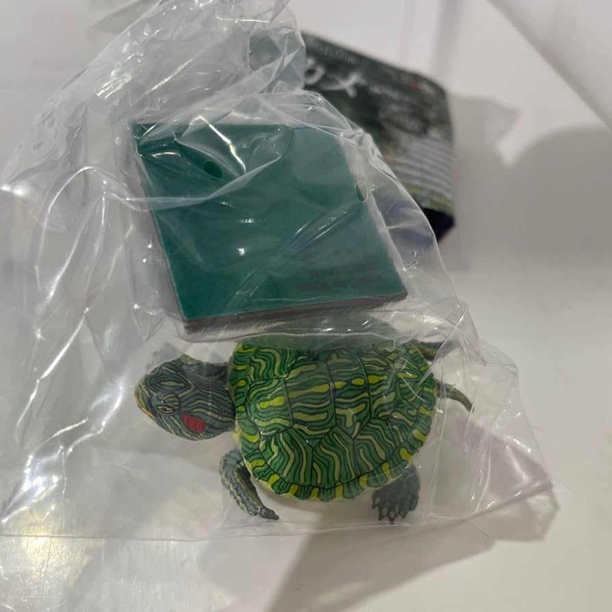 Amazon.co.jp: ネイチャーテクニカラー 日本のカメ 特装版 ミシシッピ