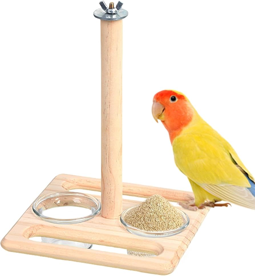 Amazon | 鳥の止まり木、オウムの止まり木,鳥かごの止まり木木製