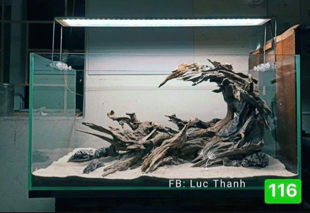 水槽用流木 流木 ブランチウッド 。アクアリウム パルダリウム