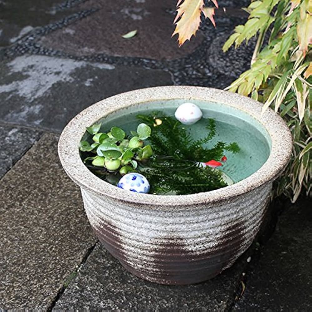 信楽 窖窯焼成 手付土瓶キズモノ 箱無し 信楽 窖窯焼成 手付土瓶キズモノ