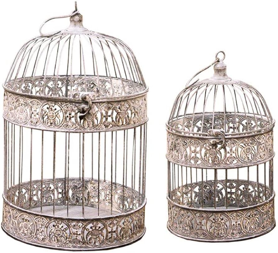 Amazon.co.jp: インテリア鳥かご ML 2サイズセット バードケージ