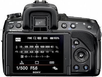 Amazon.com : Sony Alpha DSLRA500L 12.3MP Digital SLR Camera with