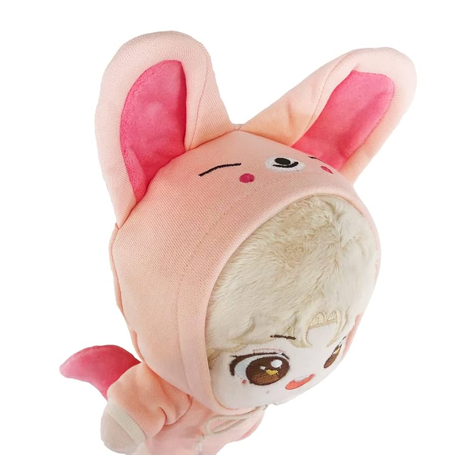 stray kids skzoo in アイエン フォクシニ まとめ売り セット