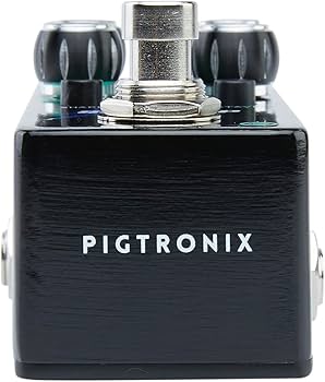 Amazon.com: Pigtronix Space Rip PWM Synth : Musical Instruments