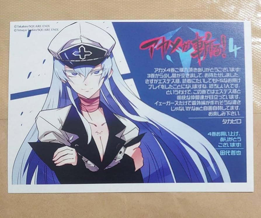 Amazon.co.jp: アカメが斬る 特典 イラストペーパー エスデス : おもちゃ