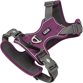 Amazon | [ ドッグコペンハーゲン ] DOG Copenhagen コンフォート