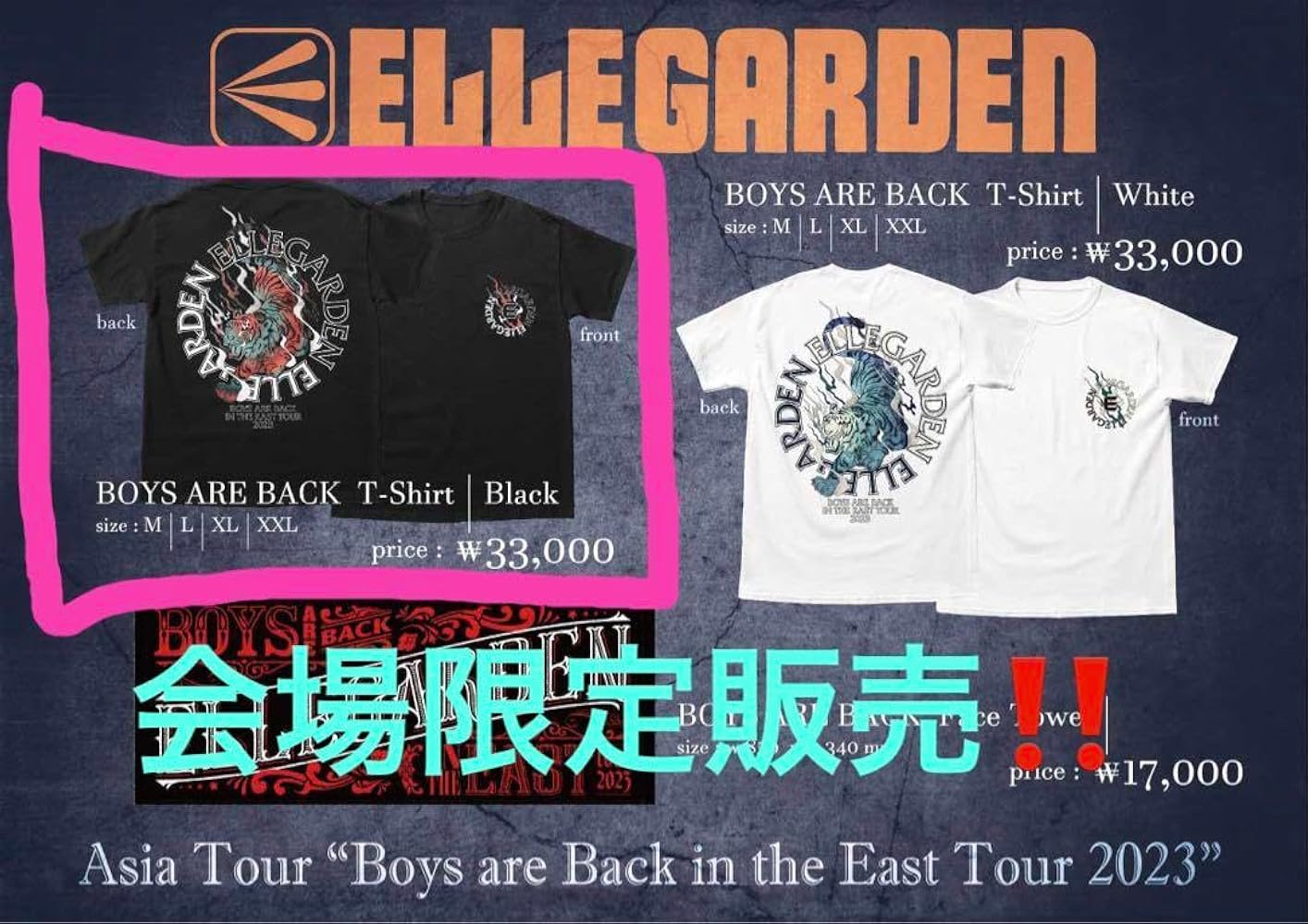 ELLEGARDEN エルレガーデンアジアツアー限定パーカーMサイズ