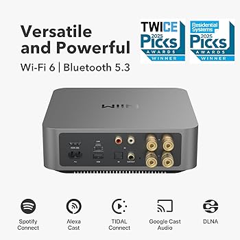 Amazon.com: WiiM Amp Pro: Multiroom Streaming Amplifier