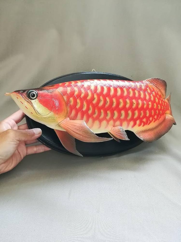 Amazon.co.jp: ハンドメイド 40cmアロワナ壁掛け 魚模型 フィギュア