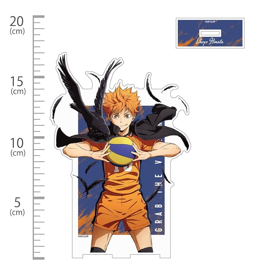 日向翔陽 ハイキュー稀有 5点セッド