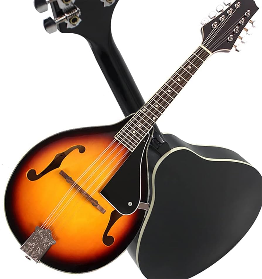 マンドリン 8弦 オレンジ系 ケース付き マンドリン 8弦 オレンジ系