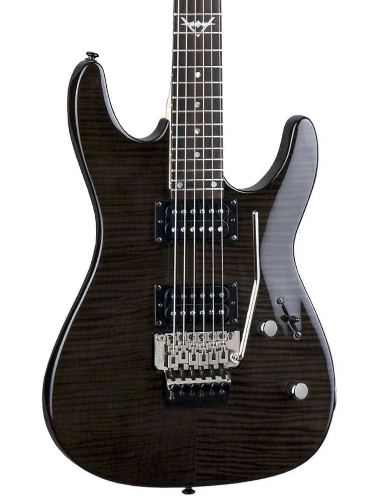 DEAN CUSTOM 350 FloydRose Trans Black 現状 DEAN CUSTOM 350