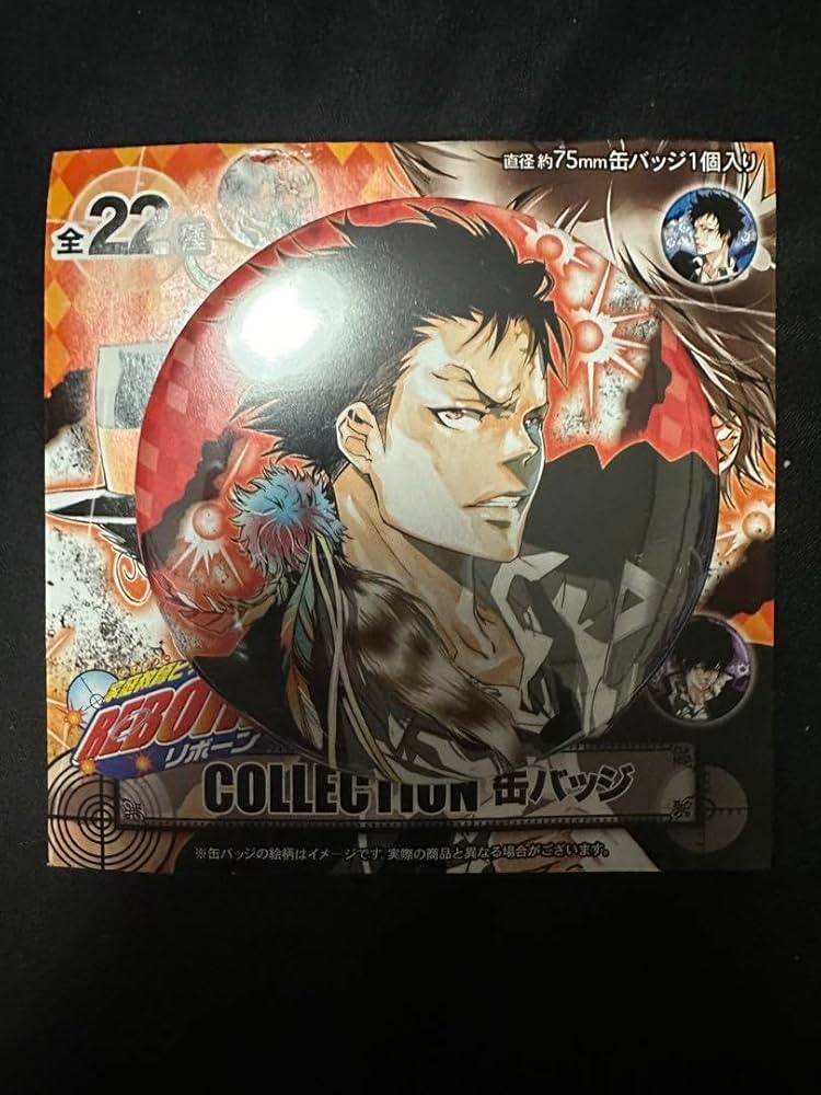 家庭教師ヒットマンREBORN ザンザス 缶バッジ 2種 天野明展 XANXUS