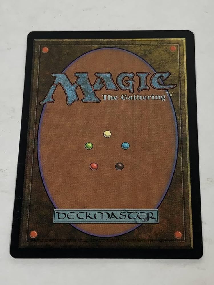 送料込み 浅すぎる墓穴 日本語版1枚、英語版2枚 送料込み