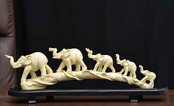 61y8eITp5-L._AC_UF350,