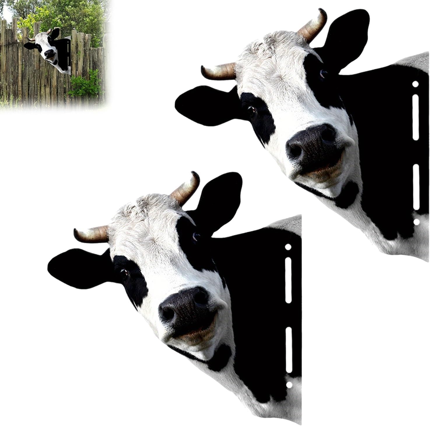 牛の角 壁飾り 盾型 Amazon | 鹿の角 インテリア 壁掛け オブジェ 壁