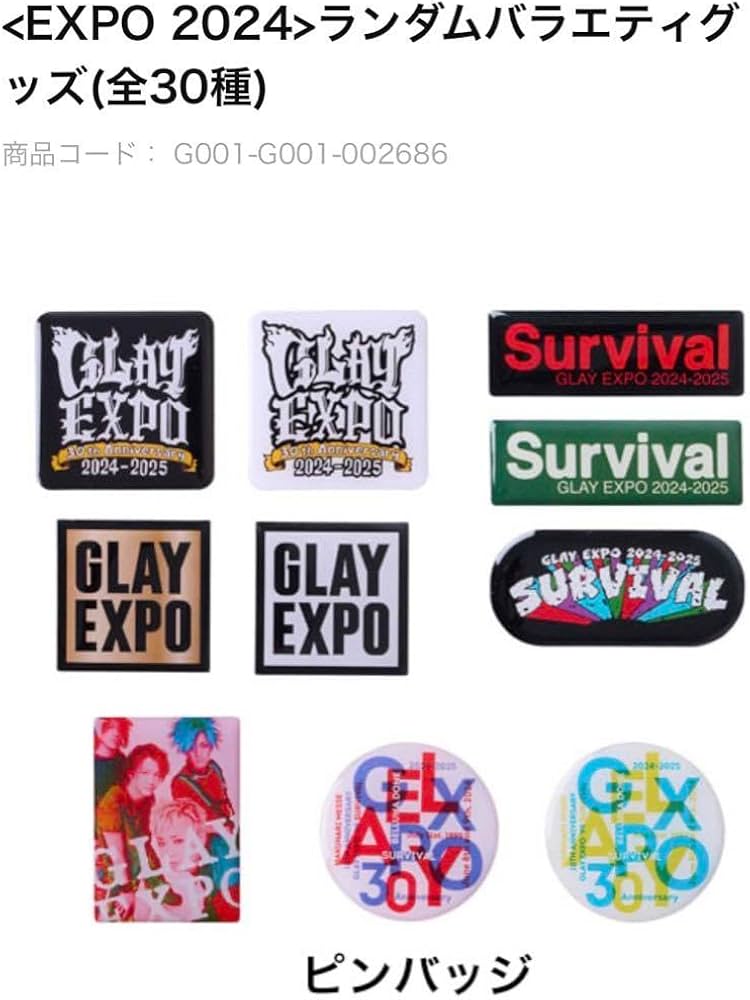 GLAY EXPO GF ランダムバラエティグッズ ブランケット