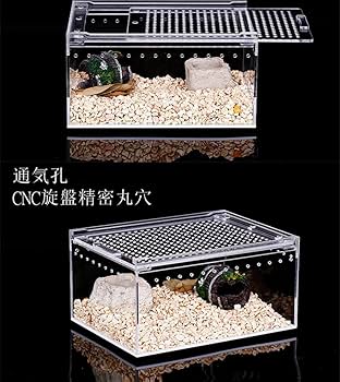 Amazon | Sarinyレプタイルボックス 爬虫類 飼育ケース 虫かご 大 透明
