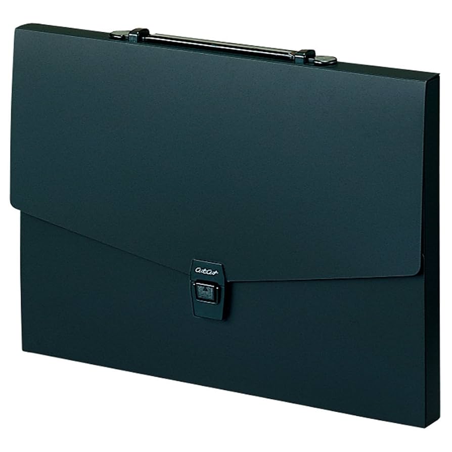 極希少○アルフレッド・フラスタット○ バイオリン用 ハードケース