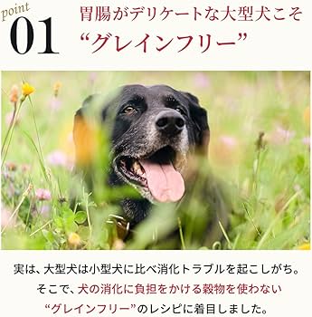 Amazon.co.jp: ネルソンズ ドッグフード （5kg） 全犬種 全年齢 対応