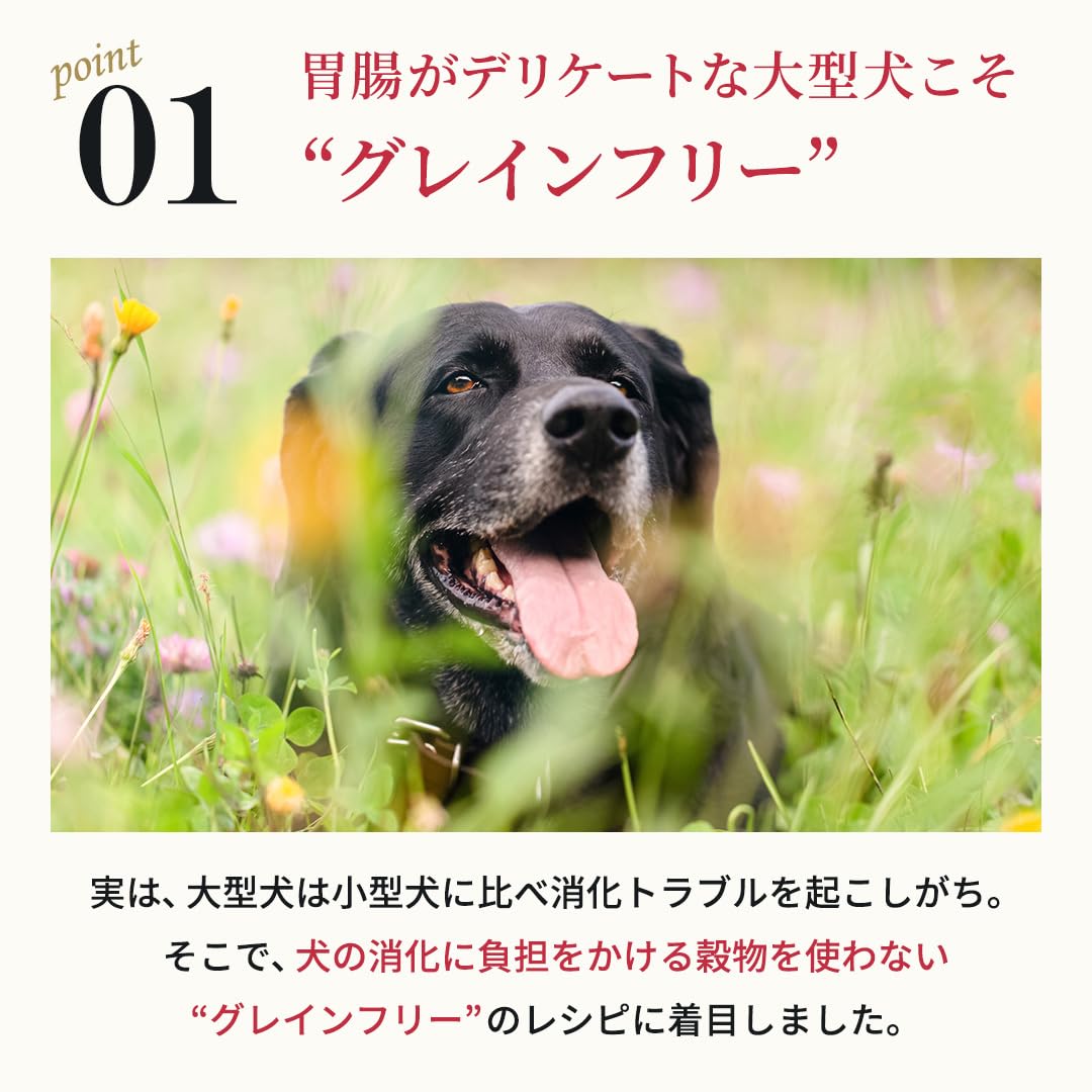 Amazon.co.jp: ネルソンズ ドッグフード 大型犬用 (10kg) 大型犬種