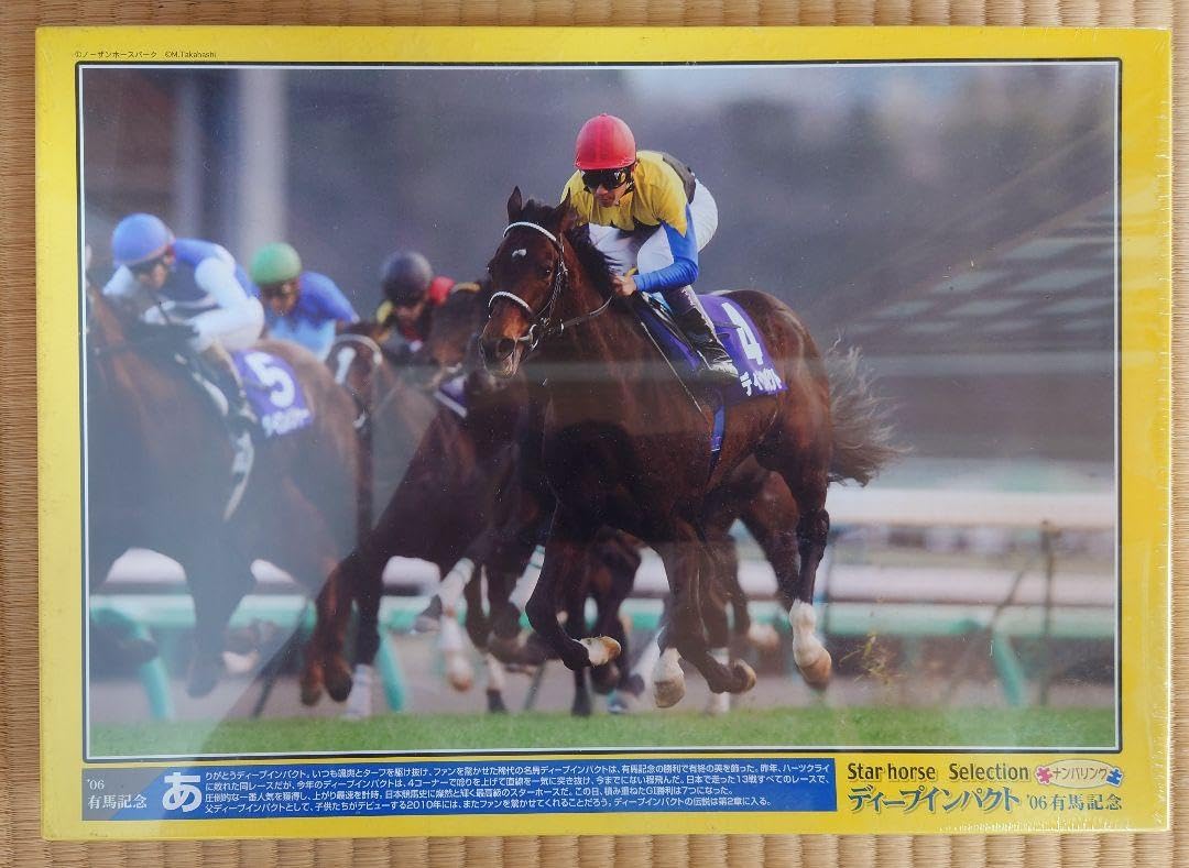 ジグソーパズル ディープインパクト '06有馬記念 ジグソーパズル