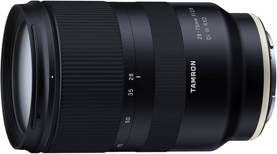 Amazon.com : Tamron 28-75mm F/2.8 for Sony Mirrorless Full Frame E
