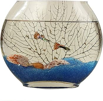 Amazon | 水槽平口ガラス金魚タンクオーバルウルトラホワイト透明