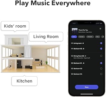 Amazon.com: WiiM Pro AirPlay 2 Receiver, Google Cast Audio, WiFi