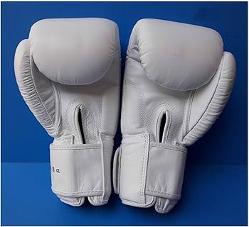 Amazon.co.jp: WINDY ボクシンググローブ BGVH 16オンス ホワイト