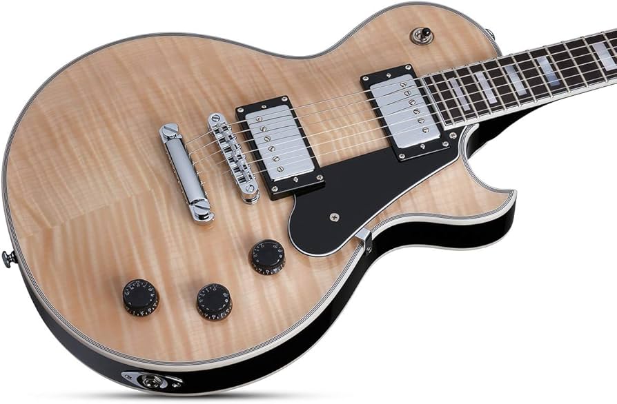 K*a様 SCHECTER シェクター SOLO-ⅱ CUSTOM GNAT