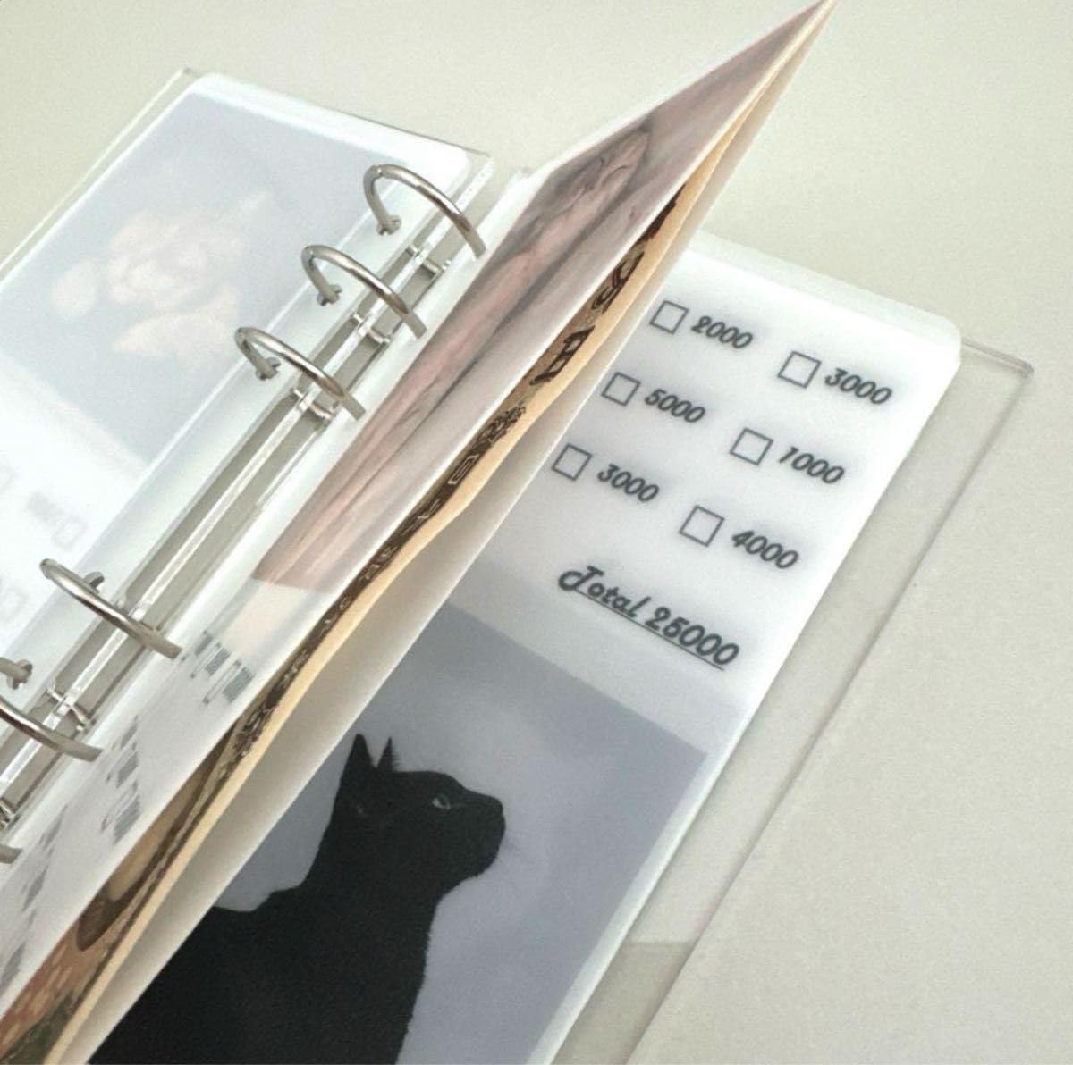 1セット限定 韓国 貯金 貯蓄 バインダー リフィル シンプル 100日 お