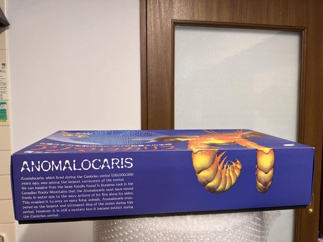 カンブリア紀 アノマロカリス フィギュア 化石 復元モデル NHK