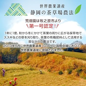 南の島 静岡県牧之原市産煎茶 特撰やぶ北 100g×14、荒茶風4 南の島