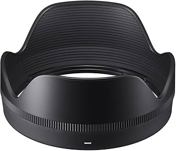 Amazon.com : Sigma 16mm f/1.4 DC DN Contemporary Lens for Sony E