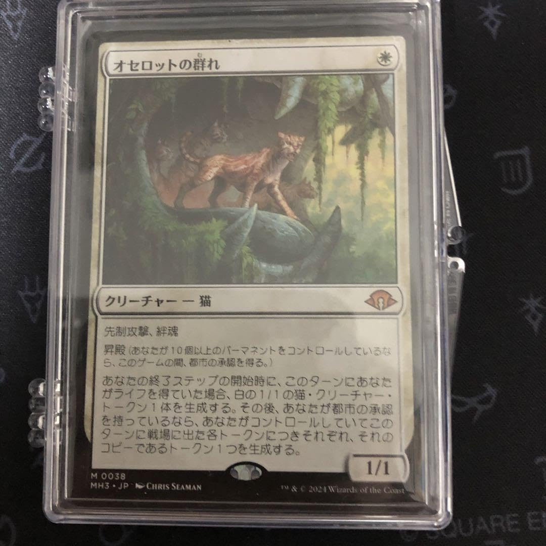 MTG オセロットの群れ 日本語版 1枚＋トークンおまけ MTG オセロットの群れ