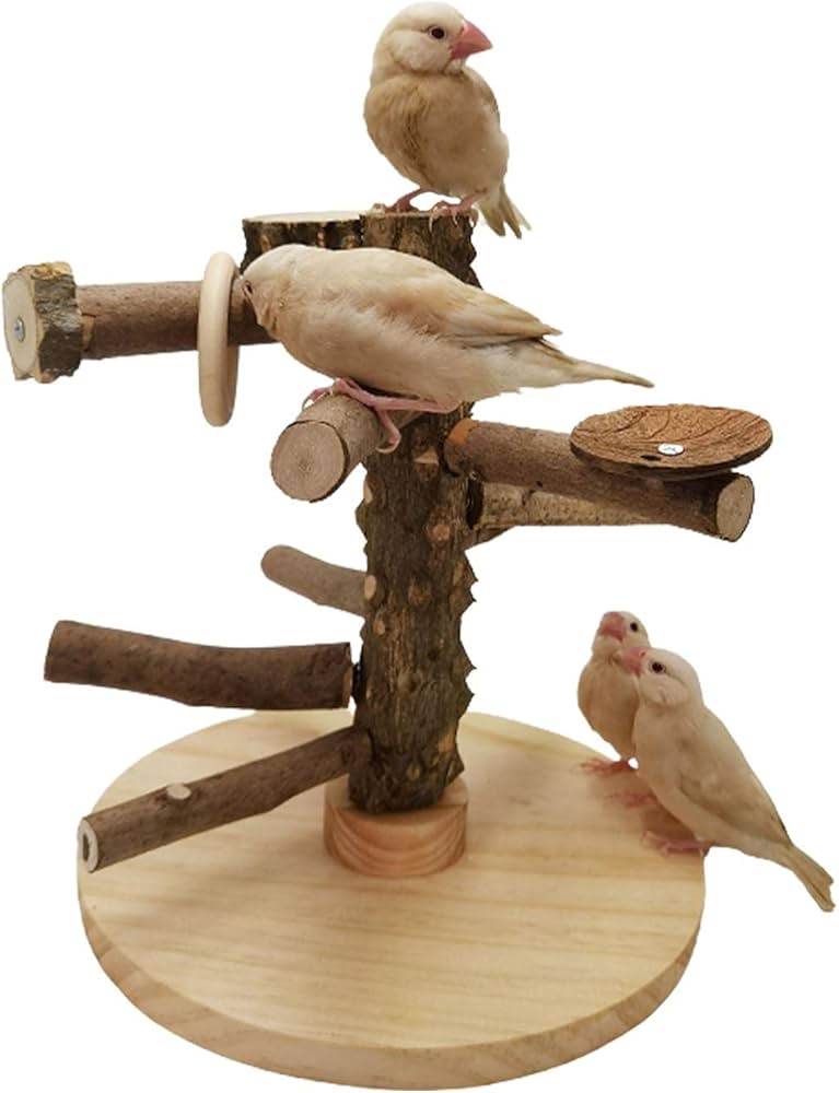 中型鳥用】螺旋状♬バードアスレチック 【公式通販】