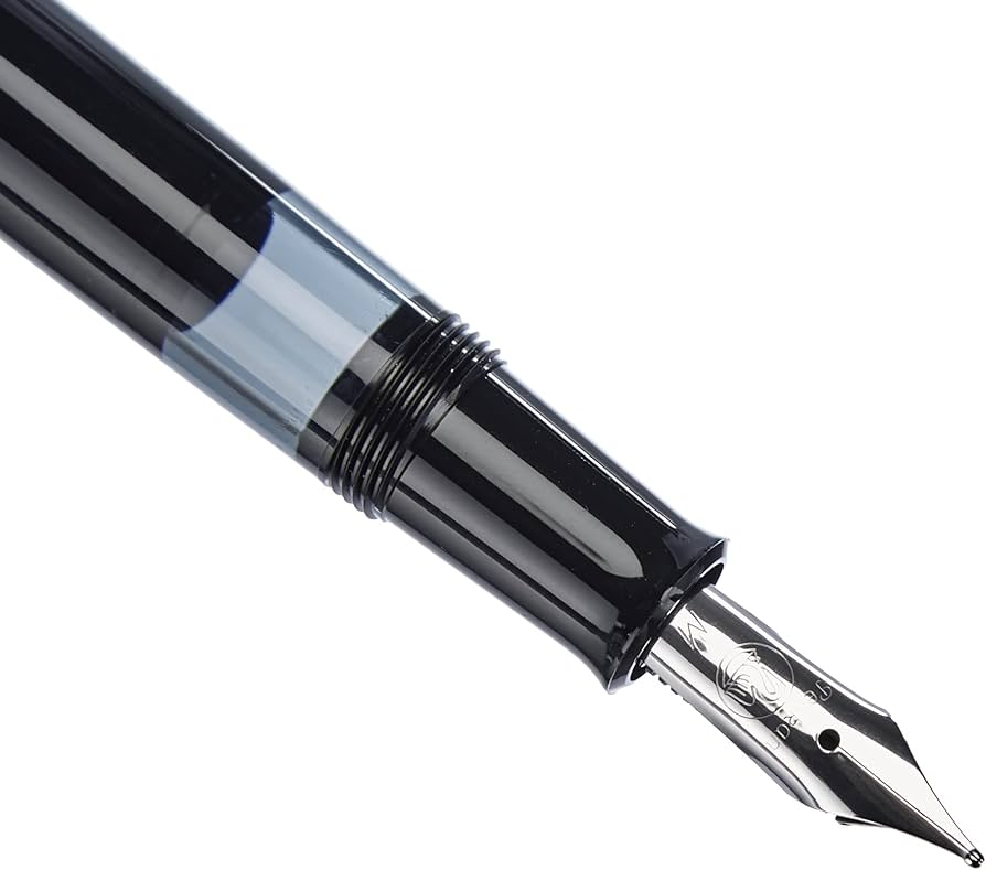 M205 M Fountain Pen with Box Black : Amazon.ca: Office Products