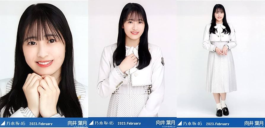 乃木坂46 チェックセットアップ(2019 December Ⅱ)バラ売り可能 乃木坂