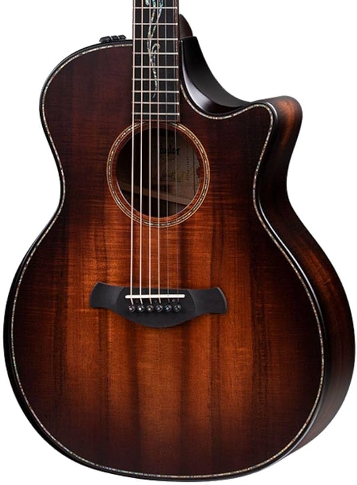 Amazon | Taylor Builder's Edition K24ce - ハワイアンコア