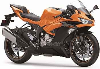PAオレンジ様確認用☆ Amazon | ZX-6R用 2019 2020 2021 2022 ZX6R